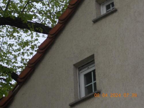 Foto - Kleines Seitengebäude mit Miniküche in Altdöbern wartet auf Sie