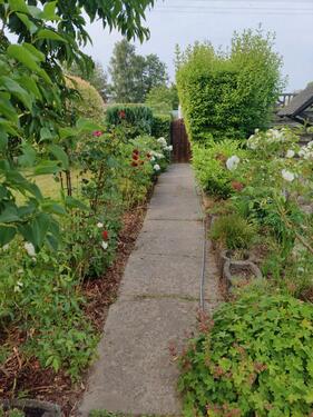 Foto - Grundst&uuml;ck zur Miete in Bergen auf Rügen