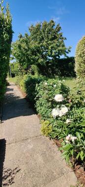 Foto - Grundst&uuml;ck in Bergen auf Rügen