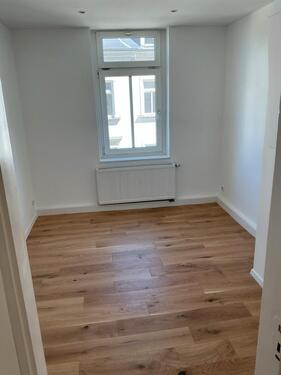 Foto - Etagenwohnung in Dresden zur Miete