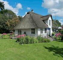 Liebevoll sanierte Reetkate - 15 Min. Büsum, 30 St. Peter-Ording - Neuenkirchen