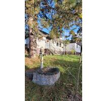 Lichtdurchflutetes Einfamilienhaus mit großem Naturgarten Nahe de - Löhnberg