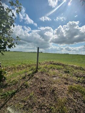 Foto - andere in Nordenham