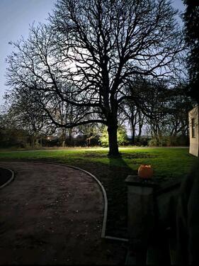 Foto - Etagenwohnung in Laage zur Miete