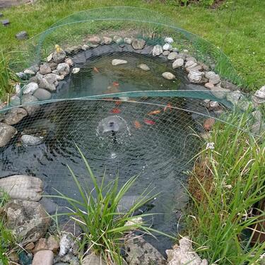 Foto - Einfamilienhaus in Niestetal zum Kaufen