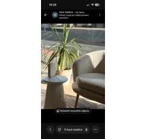 Platz fur kosmetische Behandlungen - Düsseldorf Stadtbezirk 7