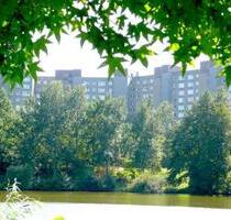 Gut geschnittene 3-Zimmer-Wohnung in Darmstadt-Kranichstein