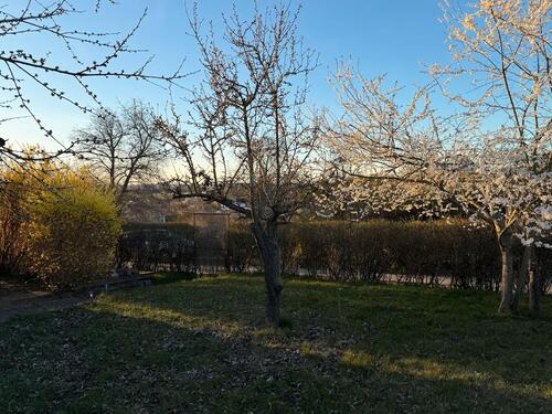 Foto - Grundst&uuml;ck zur Miete in Neubrandenburg