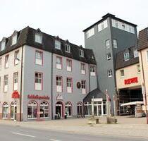 schöne Einzimmerwohnung Goldener Helm- zentrale Lage- tolle Aussicht - Lichtenstein (Sachsen)