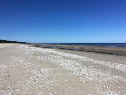 Foto - andere in Espelkamp