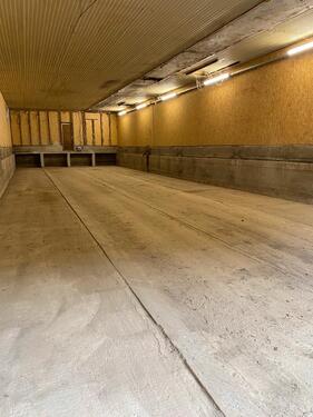 Foto - Lagerraum, Abstellfläche - 650,00 EUR Miete,