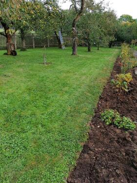 Foto - Grundstück zur Miete in Grammetal