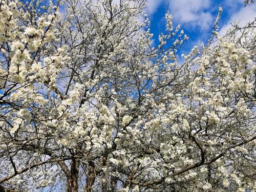 Foto - Grundstück in Grammetal
