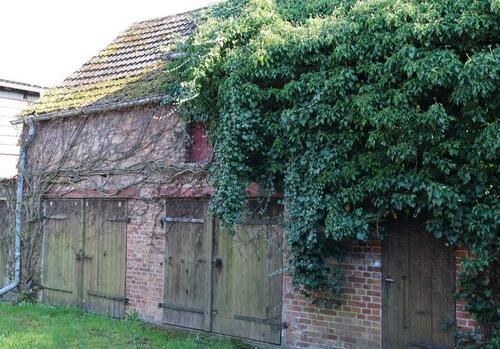 Foto - Einfamilienhaus in Ribnitz-Damgarten