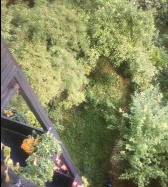 Foto - DÜSSELDORF - 1.000,00&nbsp;EUR Kaltmiete, ca.&nbsp; 70,00&nbsp;m&sup2;