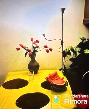 Foto - 3 Zimmer Etagenwohnung zur Miete in Düsseldorf