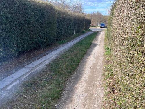 Foto - Grundst&uuml;ck in Frankfurt (Oder)