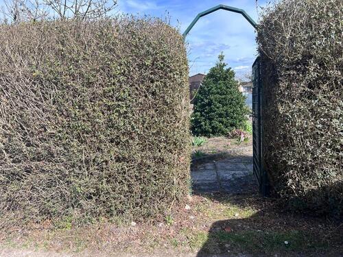 Foto - Grundst&uuml;ck in Frankfurt (Oder) zur Miete