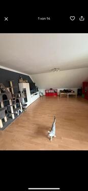 Foto - Wohnung Rittersdorf - 860,00 EUR Kaltmiete,