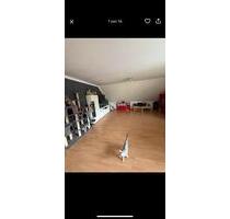 Wohnung Rittersdorf - 860,00 EUR Kaltmiete, in Rittersdorf (PLZ: 54636)