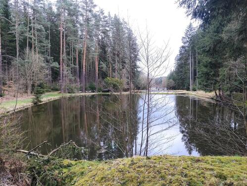 Foto - 3 Fischteiche zur Pacht bei SelbThierstein-Gemarkung Birkenbühl