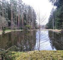 3 Fischteiche zur Pacht bei SelbThierstein-Gemarkung Birkenbühl