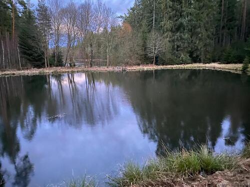 Foto - Grundst&uuml;ck in Thierstein