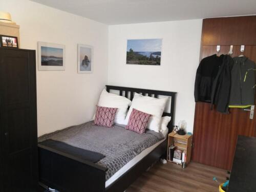 Foto - 1 Zimmer Erdgeschoßwohnung zur Miete in Eppelheim