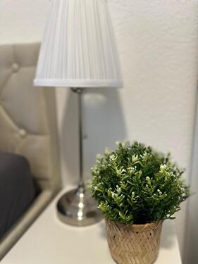 Foto - Modernes WG-Zimmer in kernsaniertem Haus