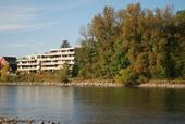 Foto - 1-Zimmer Wohnung in 79790 Rheinheim, zu vermieten.