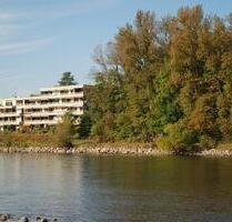 1-Zimmer Wohnung in 79790 Rheinheim, zu vermieten. - Küssaberg