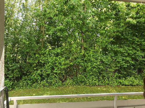 Foto - ALFELD, tolle Gelegenheit, 50qm, 2 ZKB teilmöblierte, mit Balkon