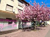 Foto - Helle Büro-Praxis-Studiofläche mit Schaufenster & Parkplätzen