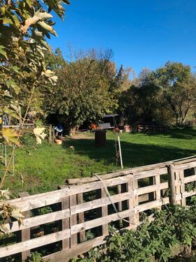Foto - Etagenwohnung zur Miete in Seegebiet Mansfelder Land