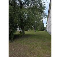 Schöne Dachgeschosswohnung - 450,00&nbsp;EUR Kaltmiete, ca.&nbsp; 26,00&nbsp;m&sup2; in Greifswald (PLZ: 17491) Groß Schönwalde