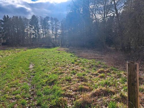 Foto - Grundstück in Burgdorf