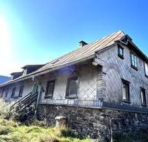 Wohnoase im bayerischen Kanada für Sie oder als Ferienwohnungen - Bayerisch Eisenstein