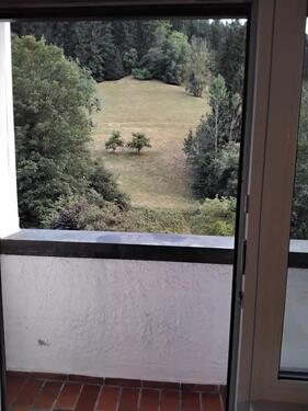 Foto - 1-Zimmer-Wohnung mit Balkon & traumhaftem Naturblick – ruhig