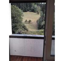 1-Zimmer-Wohnung mit Balkon & traumhaftem Naturblick – ruhig - Schramberg