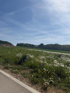 Foto - Grundst&uuml;ck zur Miete in Wackersdorf
