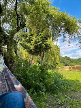 Foto - Kleines Haus ab Februar zu vermieten