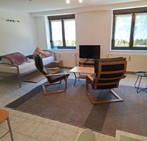 Firmen - Möbliertes 1 Zimmer- Appartment neu renoviert - Stein