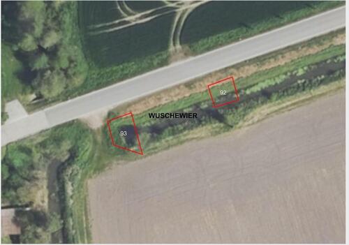 Foto - 15320 Neutrebbin GT Wuschewier, Grundstück, straßenbegleitende Böschungsfläche