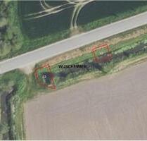 15320 Neutrebbin GT Wuschewier, Grundstück, straßenbegleitende Böschungsfläche - Neuhardenberg