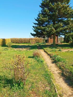 Foto - Kleingarten in Kleingartenanlage zu verpachten