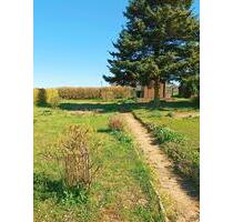 Kleingarten in Kleingartenanlage zu verpachten - Cunewalde