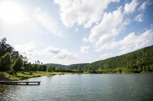 Foto - Doppelhaushälfte in Dietfurt an der Altmühl zum Kaufen