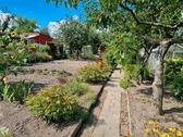 Foto - Schrebergarten, Kleindarten mit Massivlaube Rostock Südstadt