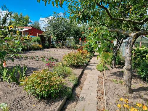Foto - Schrebergarten, Kleindarten mit Massivlaube Rostock Südstadt