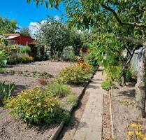 Schrebergarten, Kleindarten mit Massivlaube Rostock Südstadt